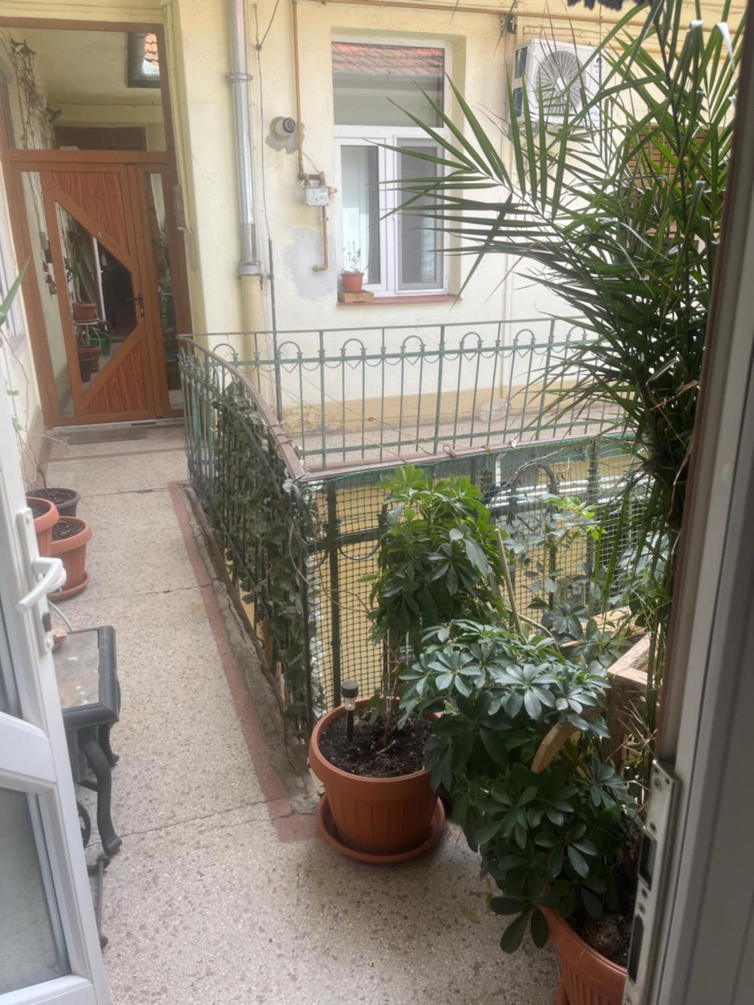 Sia'S Home Oradea Extérieur photo